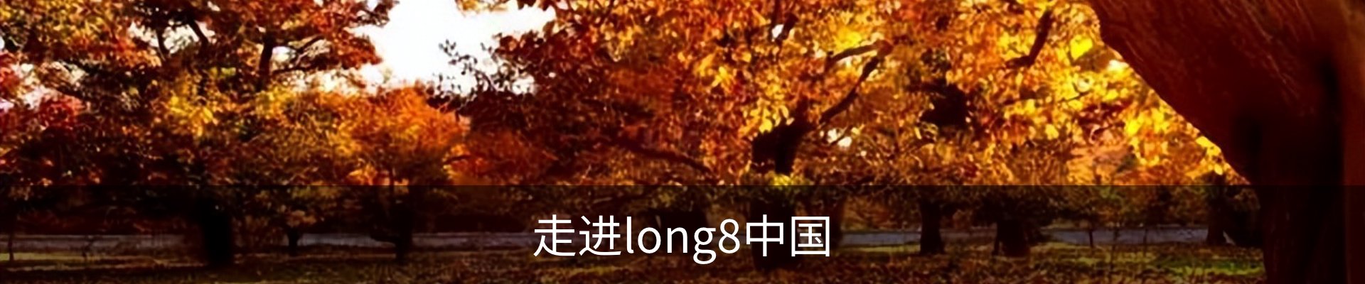 走进long8中国